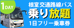 1DAY 根室交通路線バス 乗り放題 1日フリー乗車券