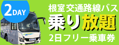 2DAY 根室交通路線バス 乗り放題 2日フリー乗車券