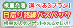 根室発着 選べる3プラン！ 日帰り路線バスバスパック 根室の人気スポットをまるかじり!!