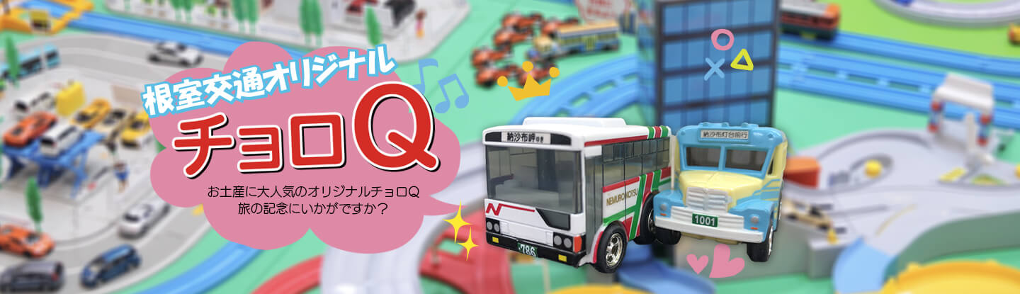 根室交通株式会社 北海道根室地域の都市間バス 観光バスツアー運行 心に残る北海道旅行は安全 快適な根室交通のバスをご用命ください